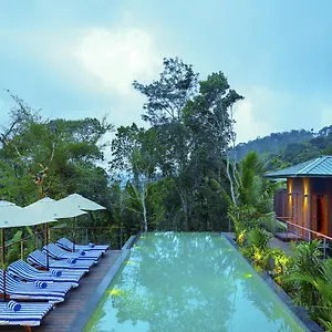 Niraamaya Retreats Cardamom Club Resort